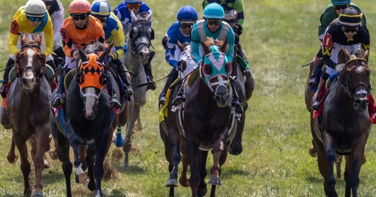 Pronostico Hipódromo Kentucky Downs picks de hoy 9 de septiembre apuestas hípicas VIPbet