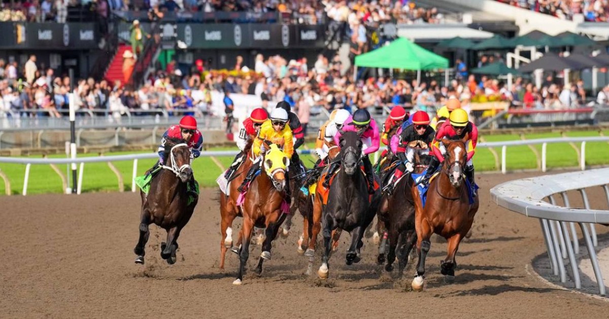 Resultados Woodbine picks de hoy 10 de septiembre horse racing VIPbet apuestas hipicas
