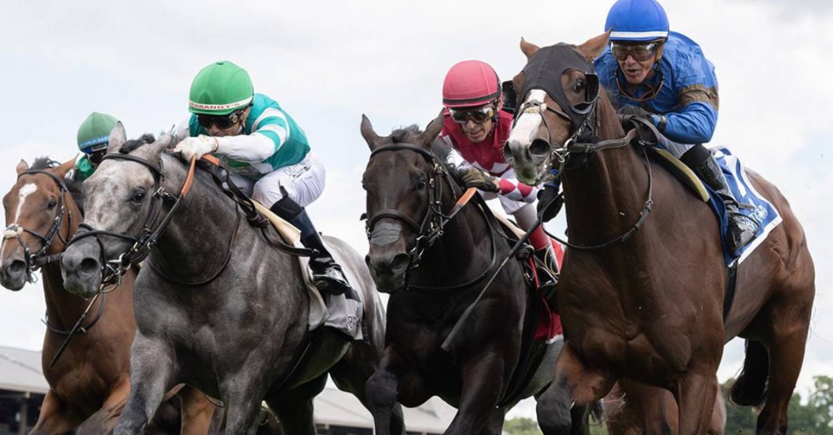 Saratoga picks para carreras en vivo hoy 6 de septiembre carreras americanas VIPbet