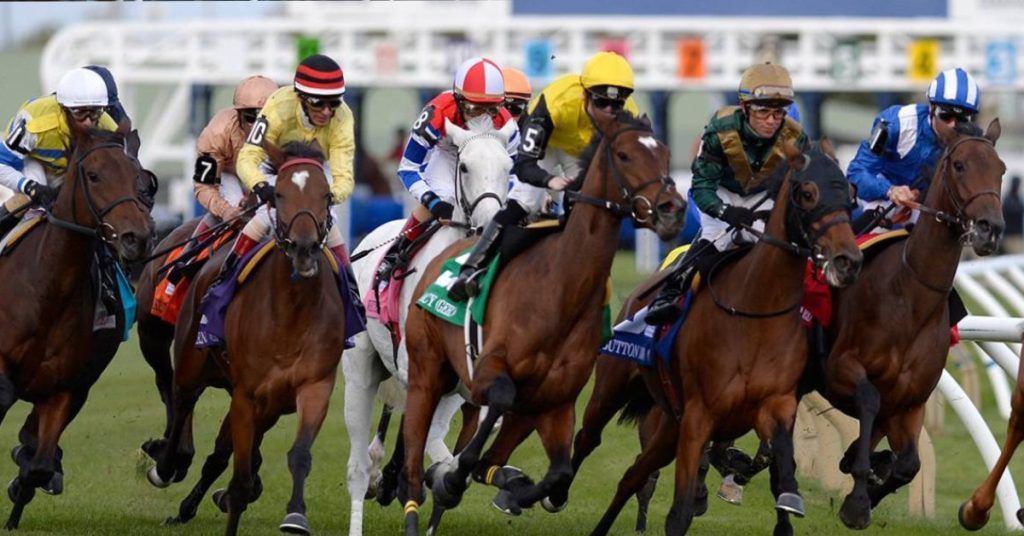 ¿Cuáles son los datos de los caballos para hoy 11_09_2026 en Woodbine_ Carreras americanas VIPbet